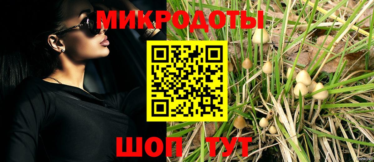 Псилоцибиновые грибы Cubensis  Галлюциногенные грибы ЛСД  Вход с VPN  Похвистнево 